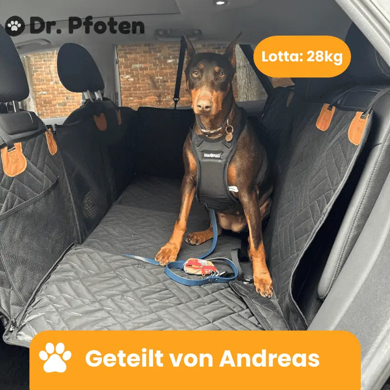 DogCruiser™ - Hard Bottom Car Seat Cover
