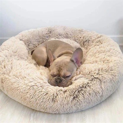 Cloud Bed™ - Luxurious Fluff for Your Pup's Sweet Dreams